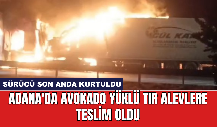 Adana'da avokado yüklü tır alevlere teslim oldu