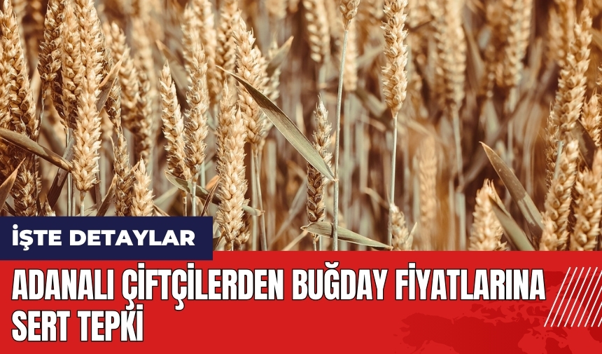 Adanalı çiftçilerden buğday fiyatlarına sert tepki