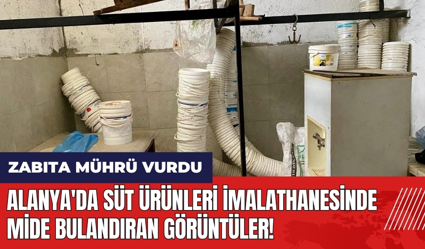 Alanya'da süt ürünleri imalathanesinde mide bulandıran görüntüler! Zabıta mührü vurdu