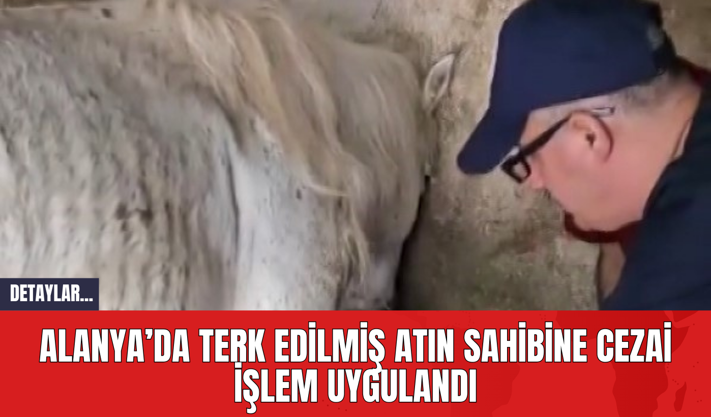 Alanya’da Terk Edilmiş Atın Sahibine Cezai İşlem Uygulandı