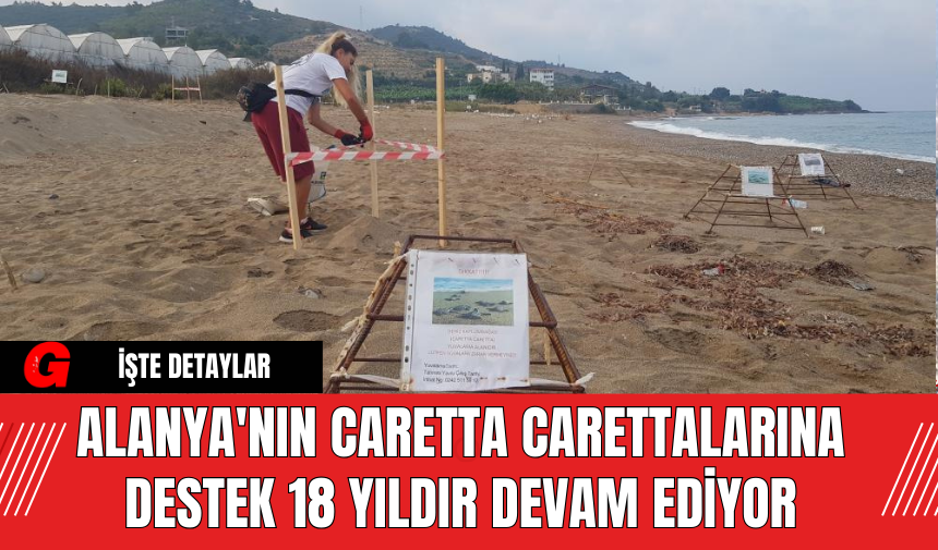 Alanya'nın Caretta Carettalarına Destek 18 Yıldır Devam Ediyor