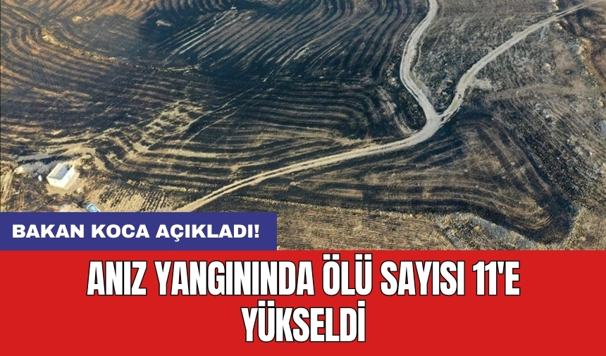 Bakan Koca açıkladı! Anız yangınında ölü sayısı 11'e yükseldi