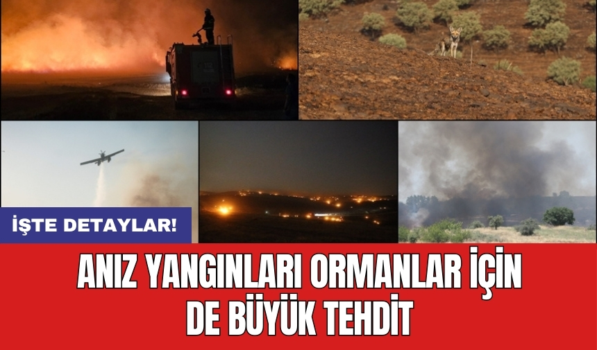 Anız yangınları ormanlar için de büyük tehdit