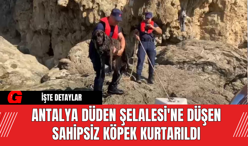 Antalya Düden Şelalesi'ne Düşen Sahipsiz Köpek Kurtarıldı