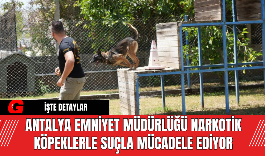 Antalya Emniyet Müdürlüğü Narkotik Köpeklerle Suçla Mücadele Ediyor