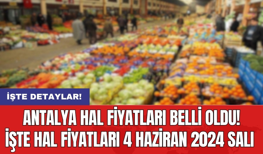 Antalya hal fiyatları belli oldu! İşte hal fiyatları 4 Haziran 2024 Salı