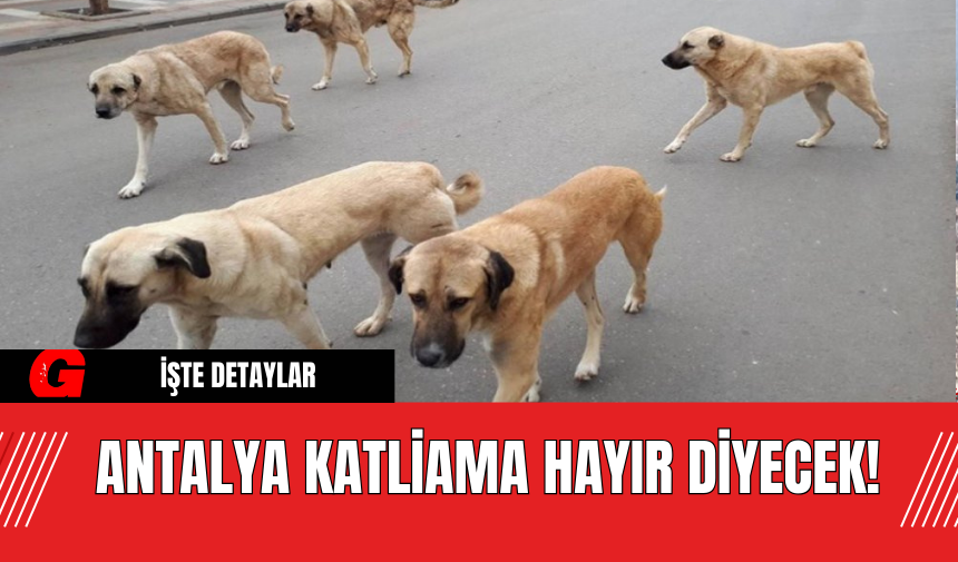 Antalya Katliama Hayır Diyecek!