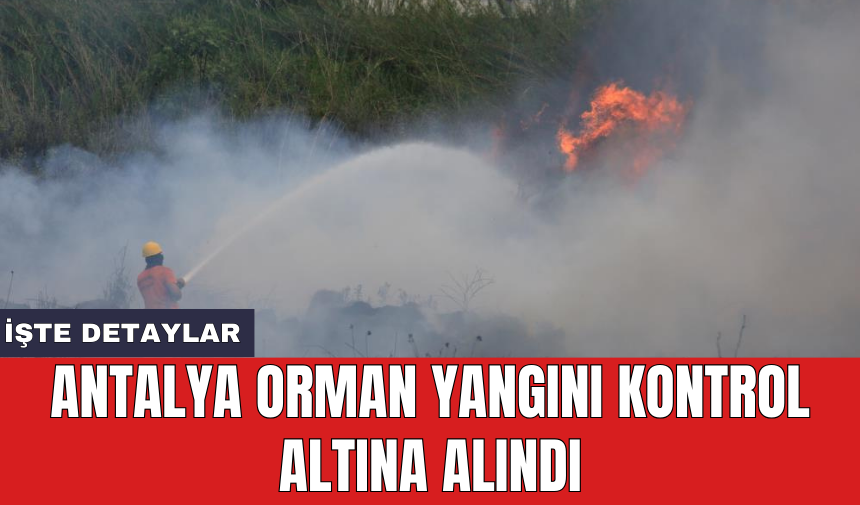 Antalya orman yangını kontrol altına alındı