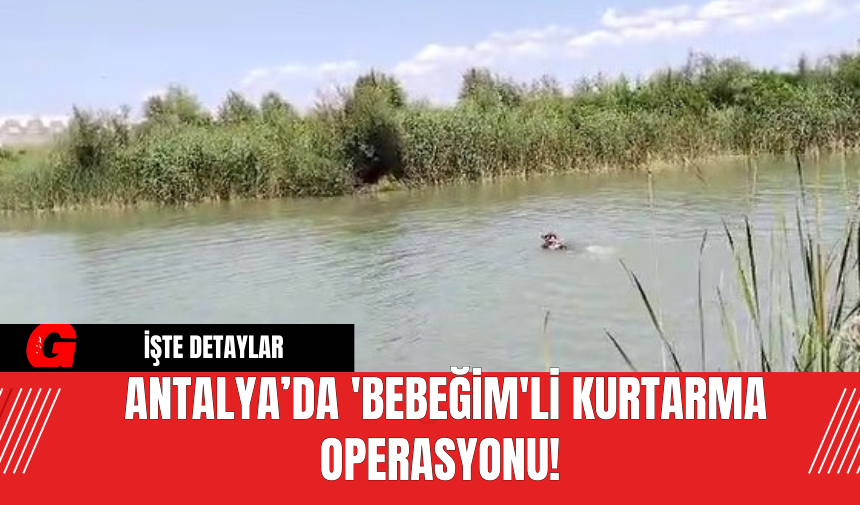 Antalya’da 'Bebeğim'li Kurtarma Operasyonu!