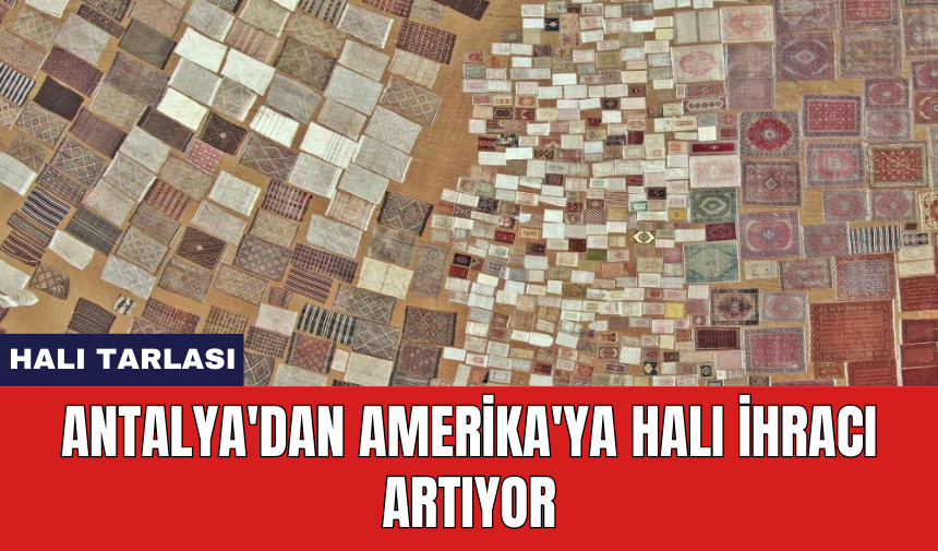 Antalya'dan Amerika'ya halı ihracı artıyor