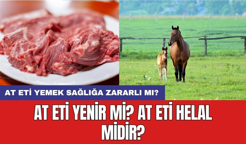 At eti haram mı? At eti helal midir?