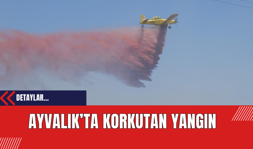 Ayvalık’ta Korkutan Yangın