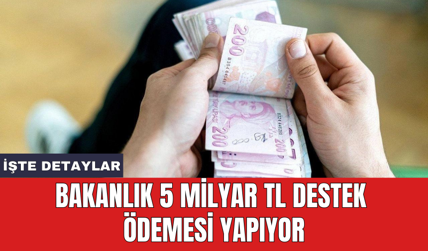 Bakanlık 5 milyar TL destek ödemesi yapıyor