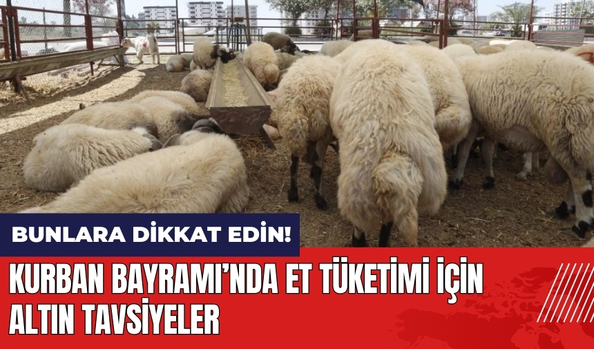 Et tüketiminde altın tavsiyeler! Kavurma yaparken nelere dikkat edilmeli?