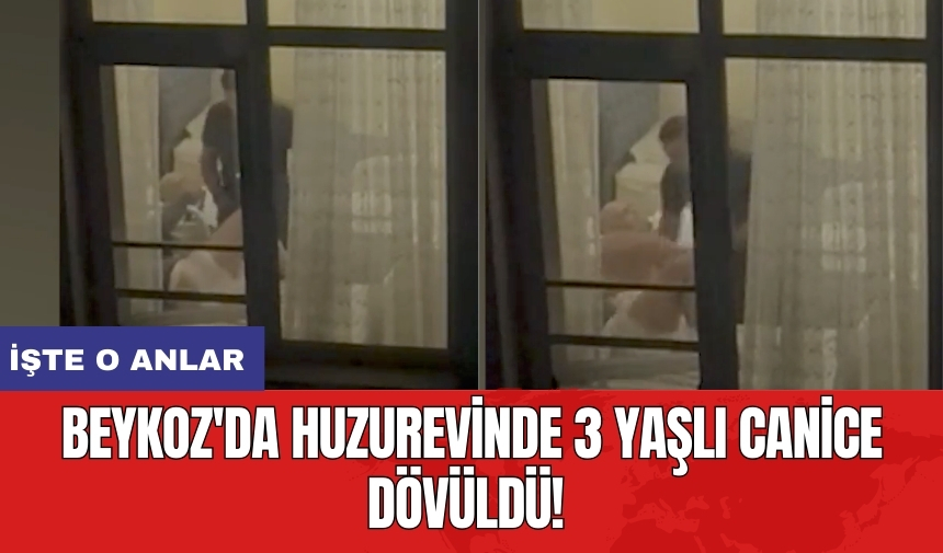 Beykoz'da huzurevinde 3 yaşlı canice dövüldü! İşte o anlar