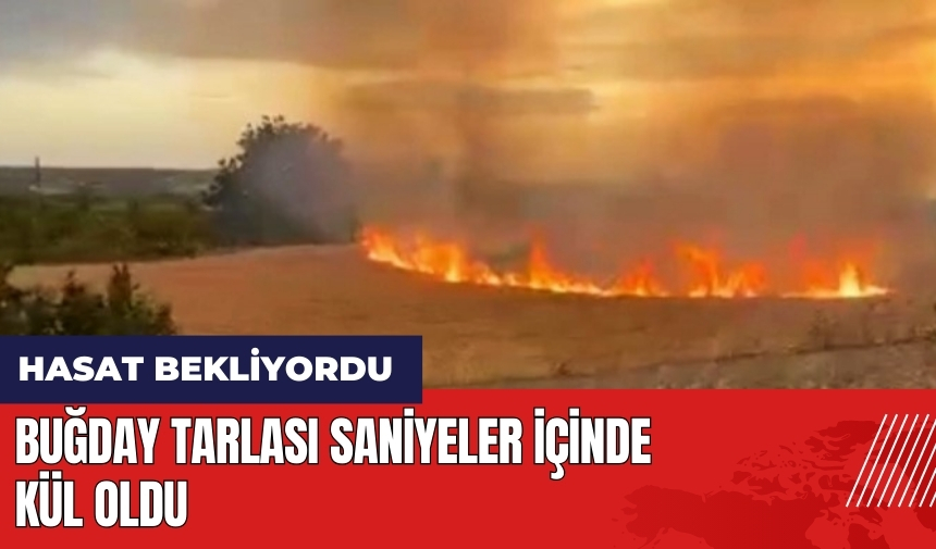 Buğday tarlası saniyeler içinde kül oldu