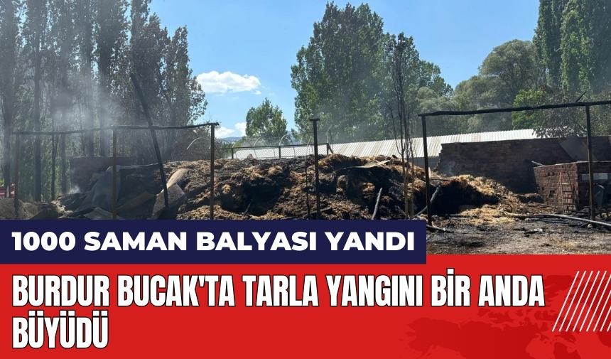 Burdur Bucak'ta tarla yangını bin saman balyasını kül etti