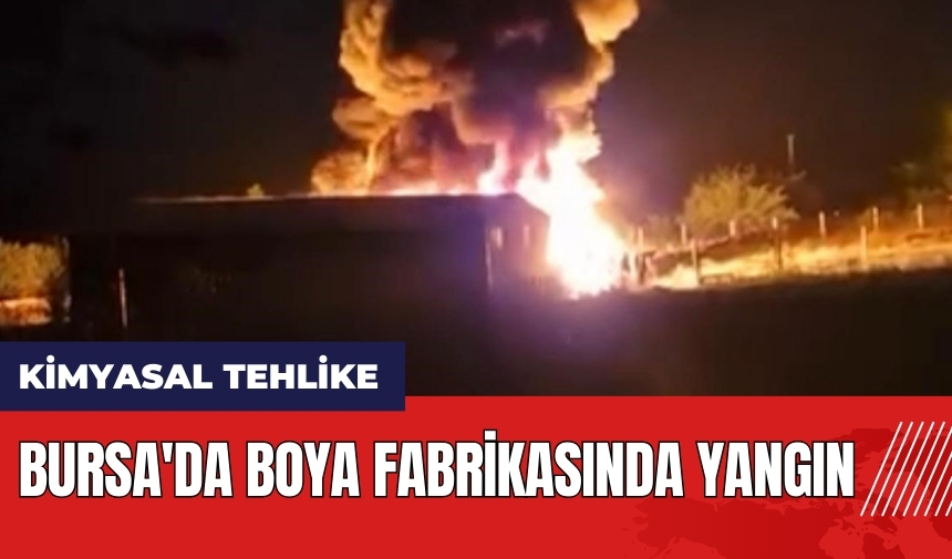 Bursa'da boya fabrikasında yangın çıktı