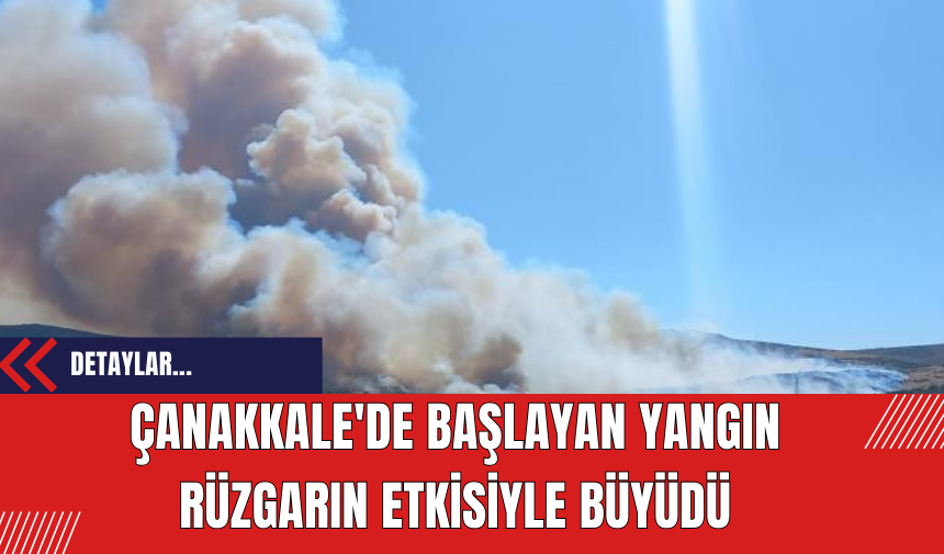 Çanakkale'de Başlayan Yangın Rüzgarın Etkisiyle Büyüdü