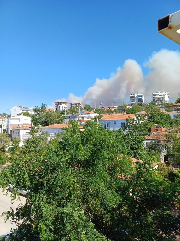 Çanakkale'de Başlayan Yangın Rüzgarın Etkisiyle Büyüdü2