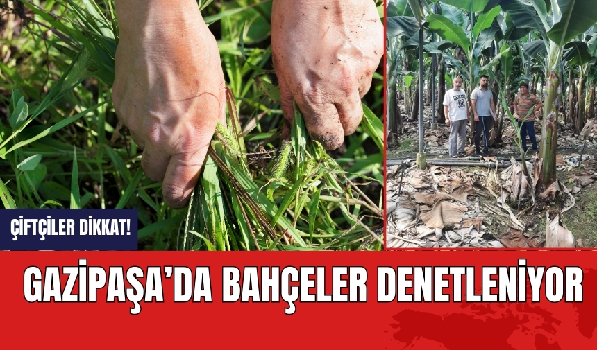 Çiftçiler dikkat! Gazipaşa'da bahçeler denetleniyor