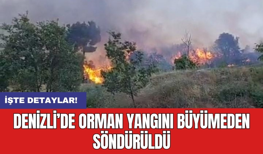 Denizli’de orman yangını büyümeden söndürüldü