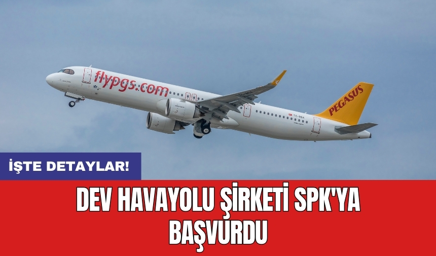 Dev Havayolu Şirketi SPK'ya Başvurdu