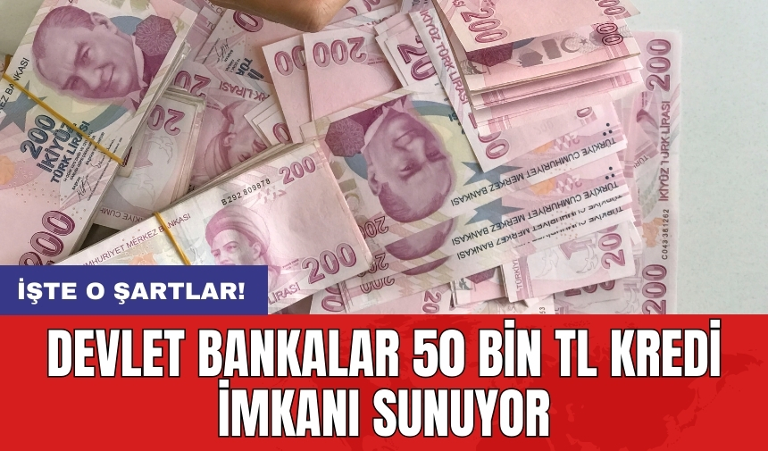 Devlet bankaları 50 bin TL kredi imkanı sunuyor