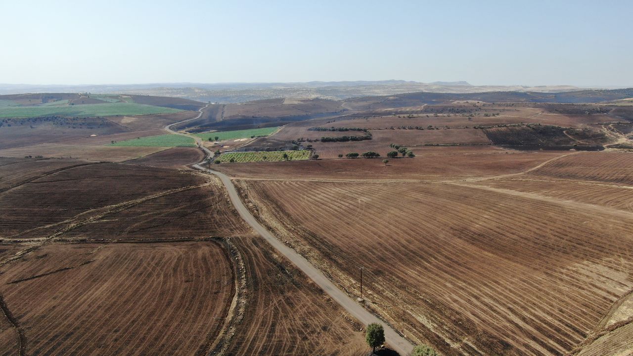 Diyarbakır Ve Mardin Yangınıyla Ilgili Soruşturma Başlatıldı  2 Result