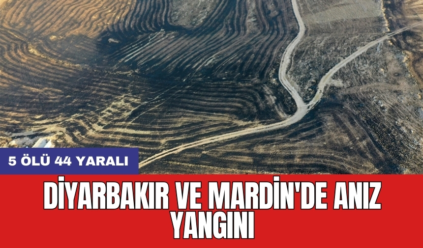 Diyarbakır ve Mardin'de anız yangını: 5 ölü 44 yaralı