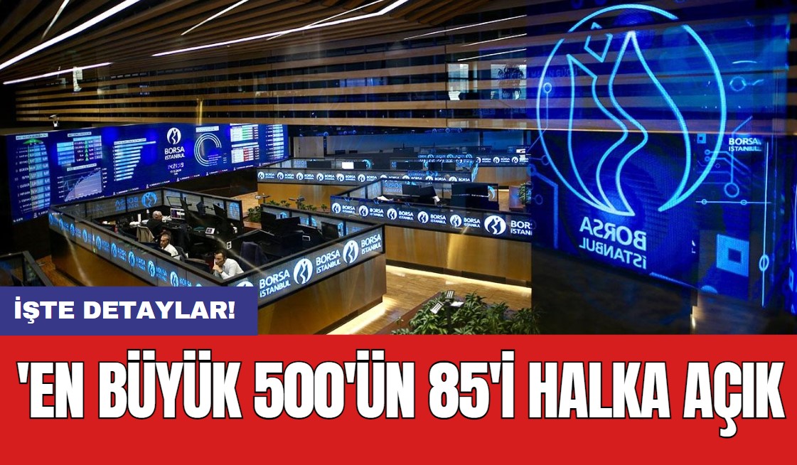 'En büyük 500'ün 85'i halka açık