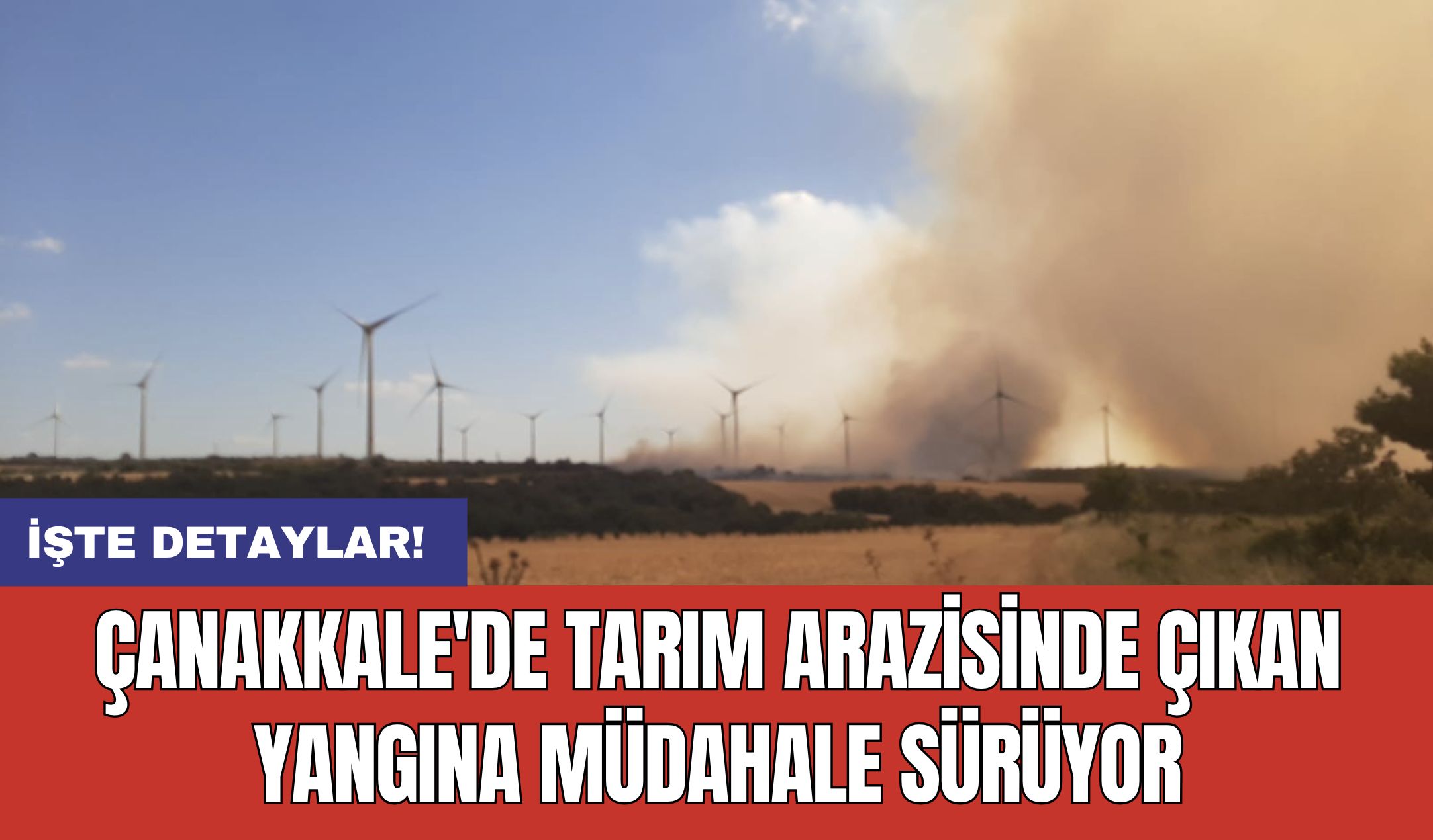 Çanakkale'de tarım arazisinde yangın