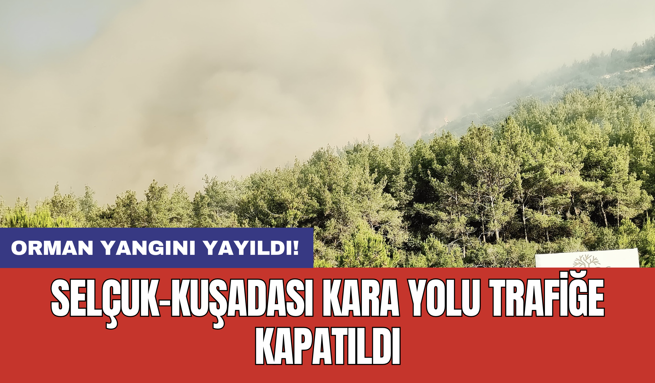 Selçuk-Kuşadası kara yolu trafiğe kapatıldı