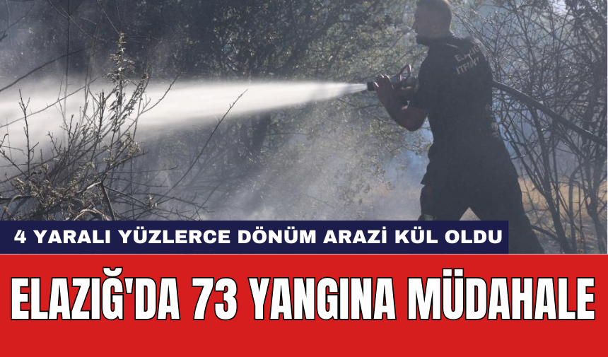 Elazığ'da 73 yangına müdahale: 4 yaralı yüzlerce dönüm arazi kül oldu