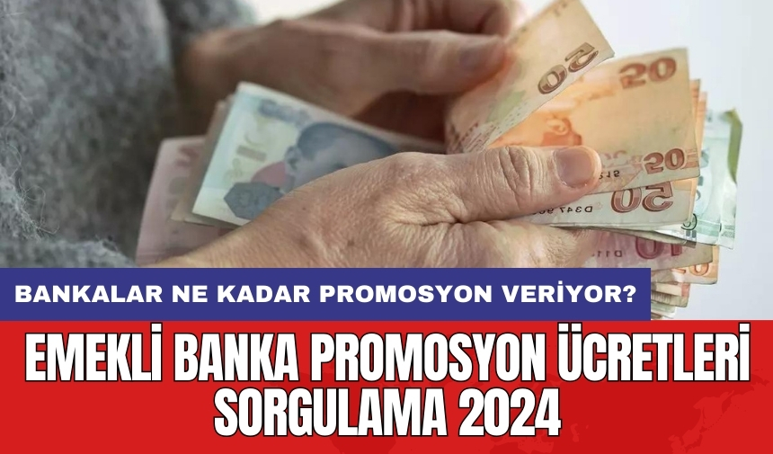 Emekli banka promosyon ücretleri sorgulama 2024: Bankalar Ne Kadar Promosyon Veriyor?