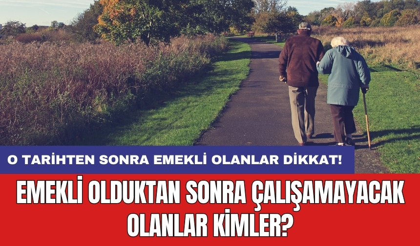 Emekli olduktan sonra çalışamayacak olanlar kimler?