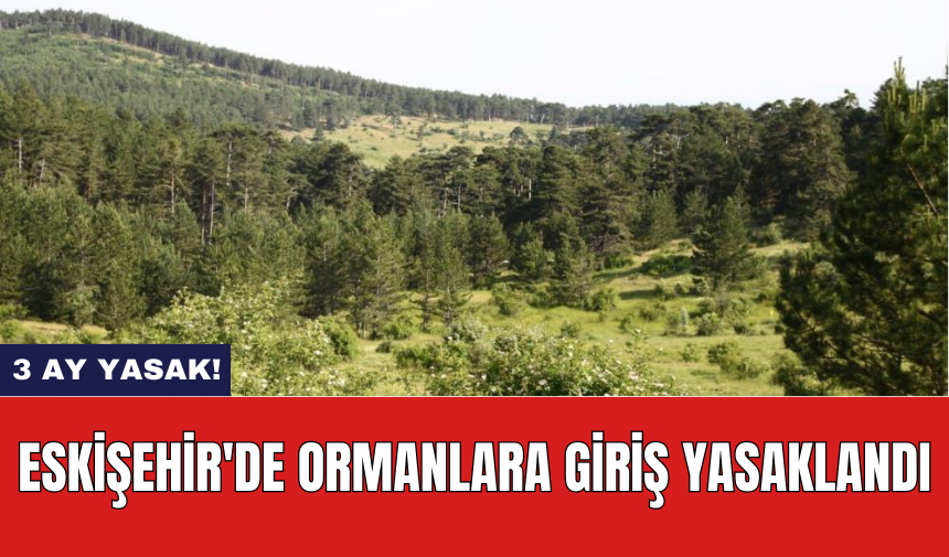 Eskişehir'de ormanlara giriş yasaklandı