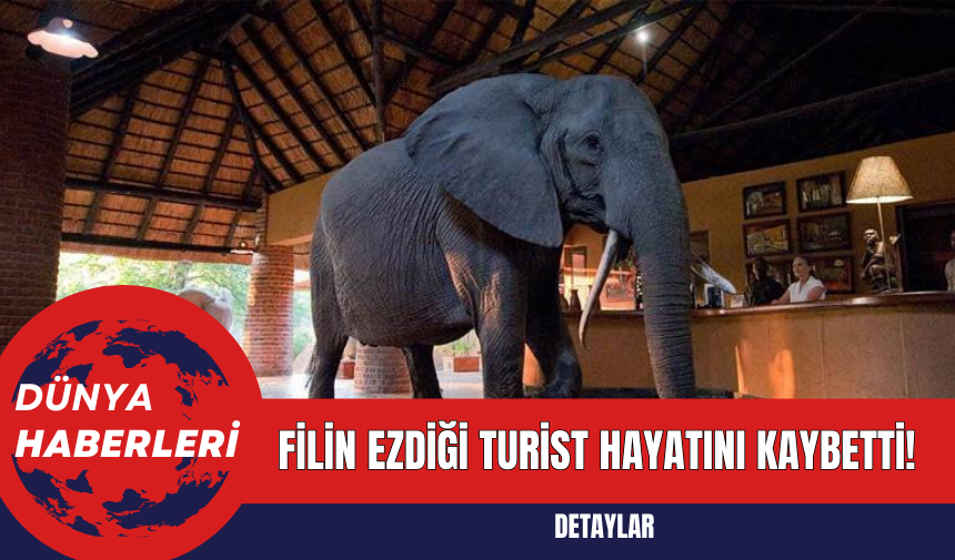 Filin Ezdiği Turist Hayatını Kaybetti!