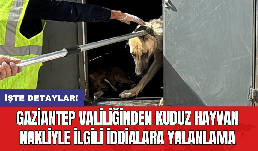 Gaziantep Valiliği'nden kuduz hayvan nakliyle ilgili iddialara yalanlama