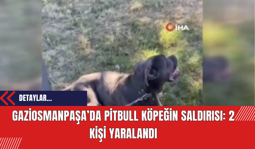 Gaziosmanpaşa’da Pitbull Köpeğin Saldırısı: 2 Kişi Yaralandı