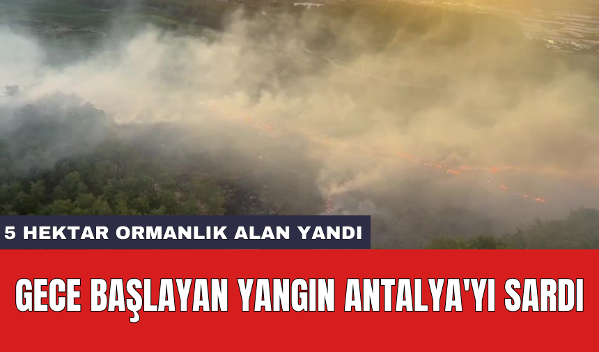 Gece başlayan yangın Antalya'yı sardı