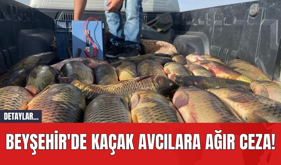 Beyşehir'de Kaçak Avcılara Ağır Ceza!