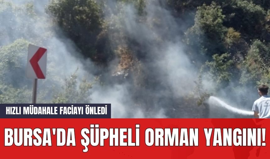 Bursa'da Şüpheli Orman Yangını! Hızlı Müdahale Faciayı Önledi