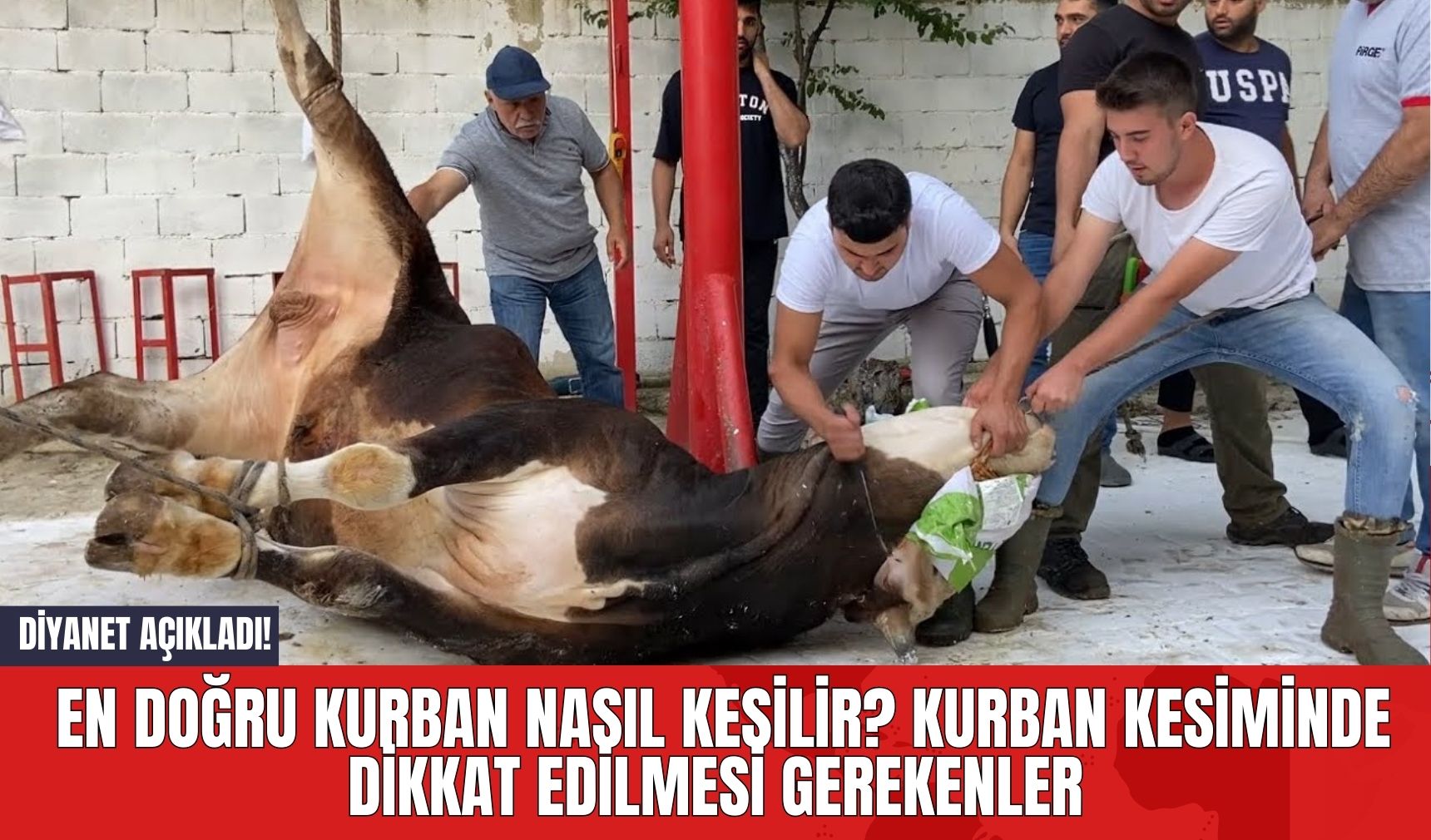 Diyanet Açıkladı! En Doğru Kurban Nasıl Kesilir? Kurban Kesiminde Dikkat Edilmesi Gerekenler