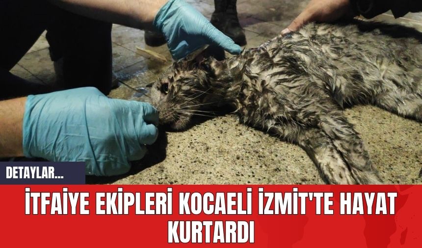 İtfaiye Ekipleri Kocaeli İzmit'te Hayat Kurtardı