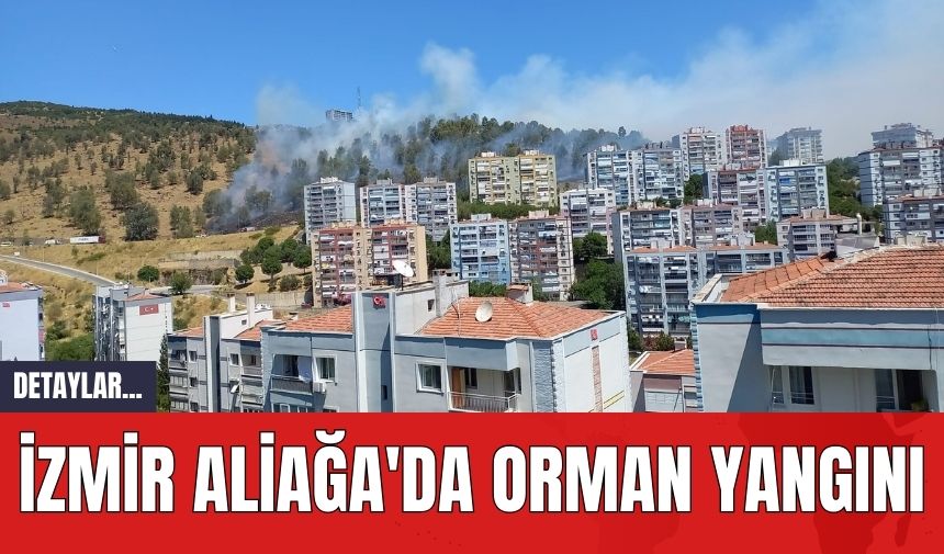 İzmir Aliağa'da Orman Yangını