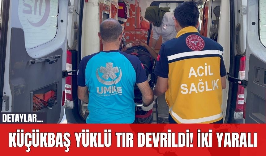 Küçükbaş Yüklü Tır Devrildi! İki Yaralı