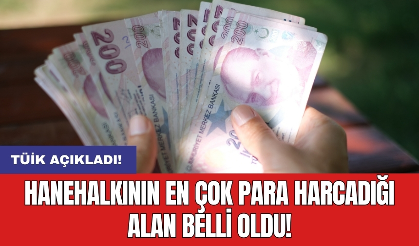 Hanehalkının en çok para harcadığı alan belli oldu!