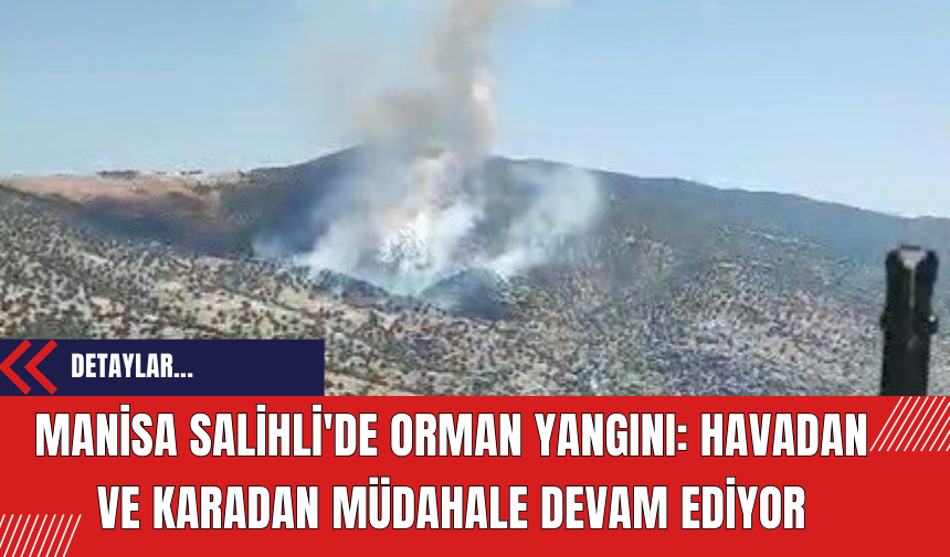 Manisa Salihli'de Orman Yangını: Havadan ve Karadan Müdahale Devam Ediyor