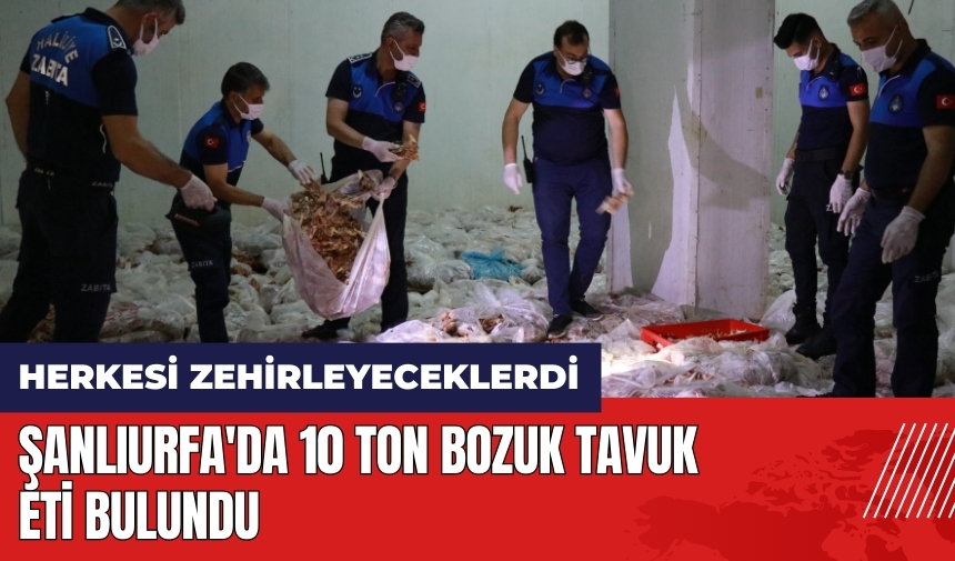 Herkesi zehirleyeceklerdi! Şanlıurfa'da 10 ton bozuk tavuk eti bulundu